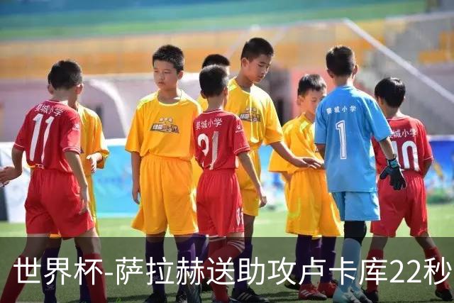 世界杯-萨拉赫送助攻卢卡库22秒造乌龙 比利时1-1埃及